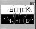 DVD Cover: Black and white (No more War - Version)
