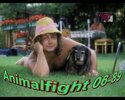 DVD Cover: Animalfight (Demo-Photovision Version)